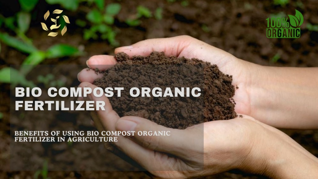 Bio Compost Organic Fertilizer